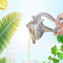 Lade das Bild in den Galerie-Viewer, Direkt-Fruchtsaftpresse